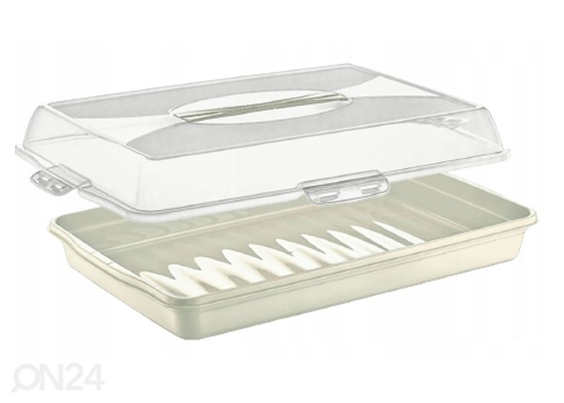 Kakkurasia kannella kuvasuurennos