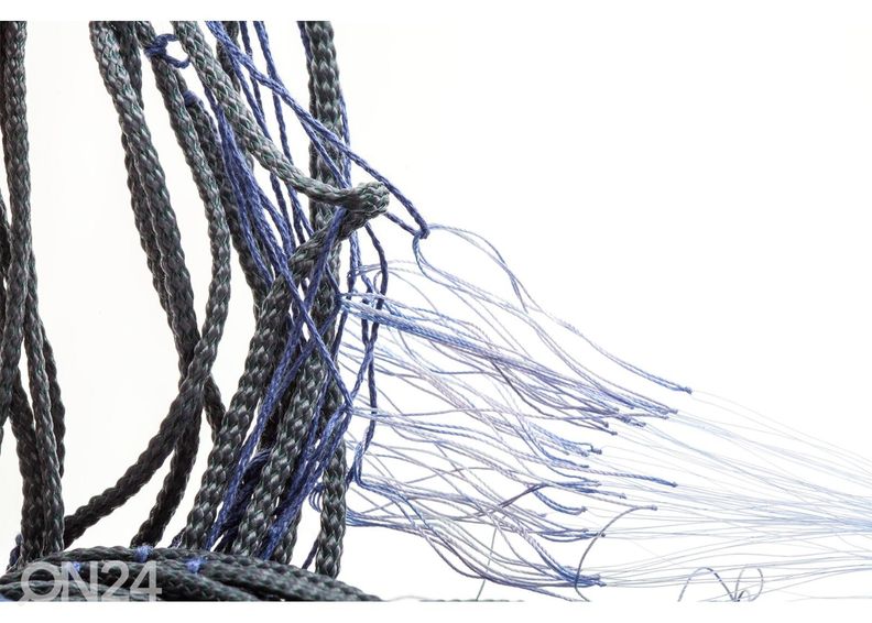 Kalaverkko Asser 60 m x 5 m x 0,17 mm x 60 mm kuvasuurennos