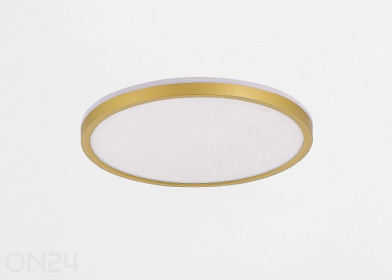 Kattoplafondi Bove Gold 50 kuvasuurennos