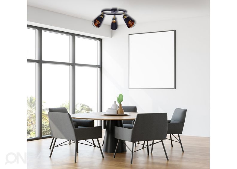 Kattovalaisin kuvasuurennos