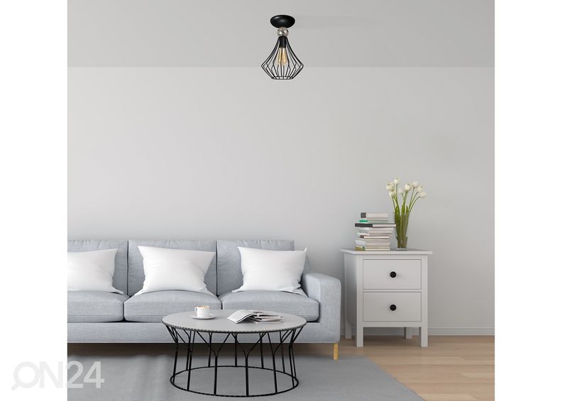 Kattovalaisin kuvasuurennos