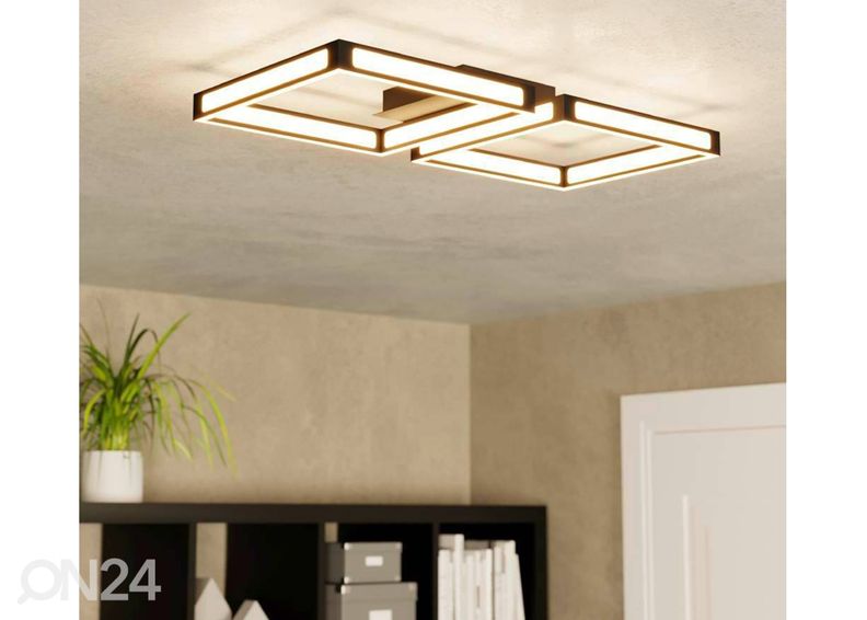 Kattovalaisin Altaflor kuvasuurennos