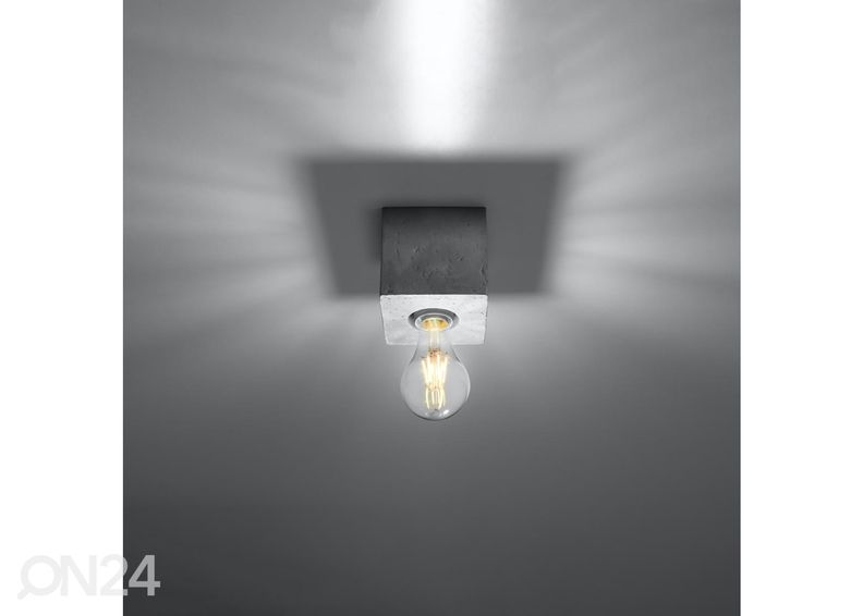 Kattovalaisin Ariz, betoni kuvasuurennos