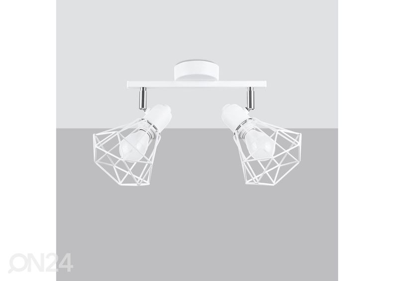 Kattovalaisin Artemis 2, valkoinen kuvasuurennos