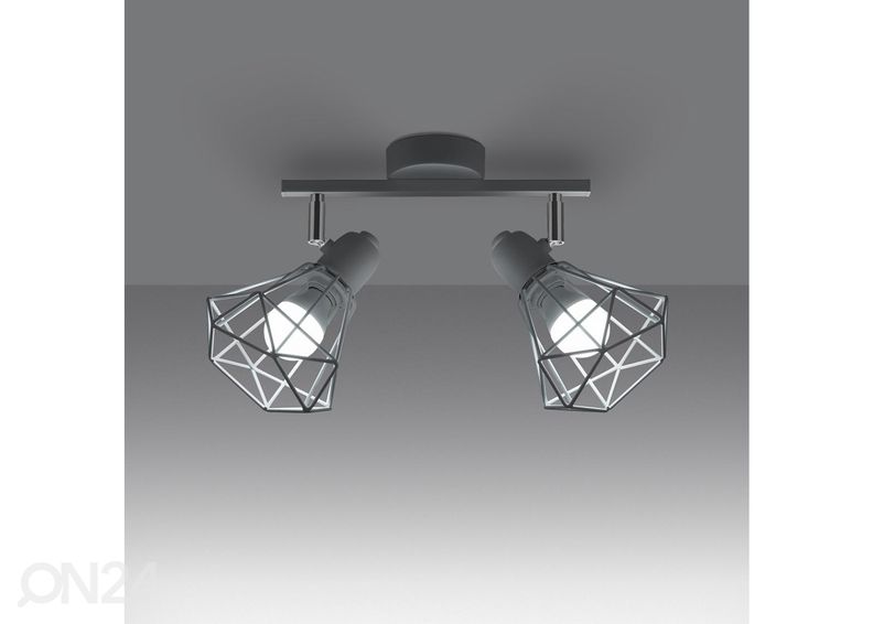 Kattovalaisin Artemis 2, valkoinen kuvasuurennos