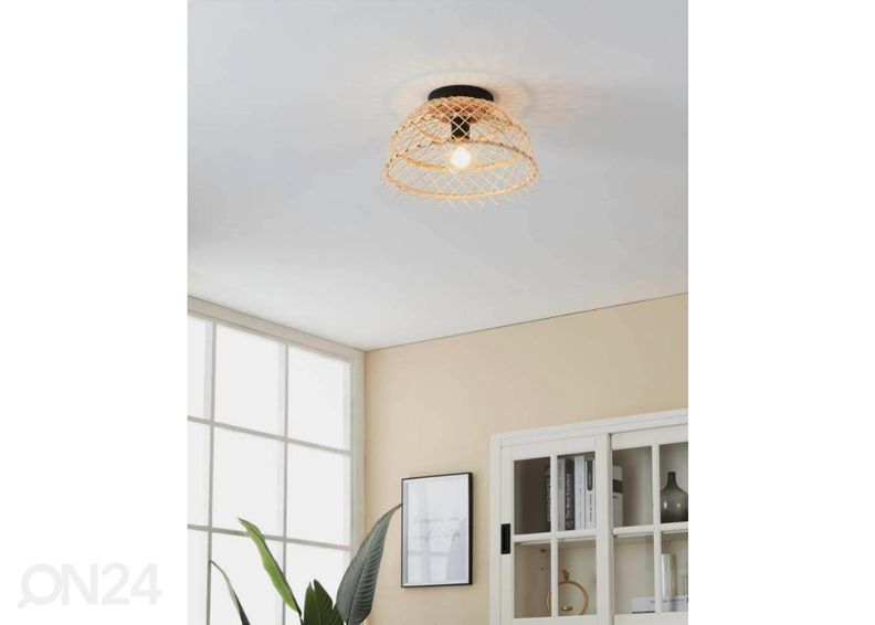 Kattovalaisin Ausnby kuvasuurennos