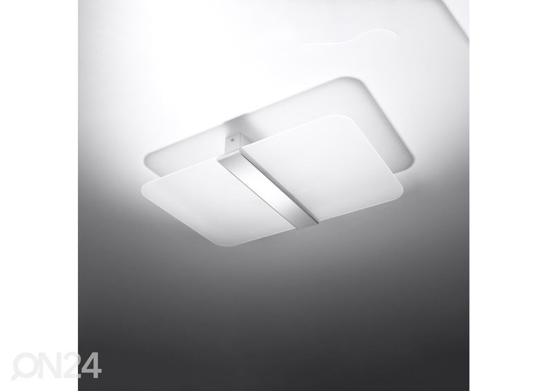 Kattovalaisin Azalia kuvasuurennos