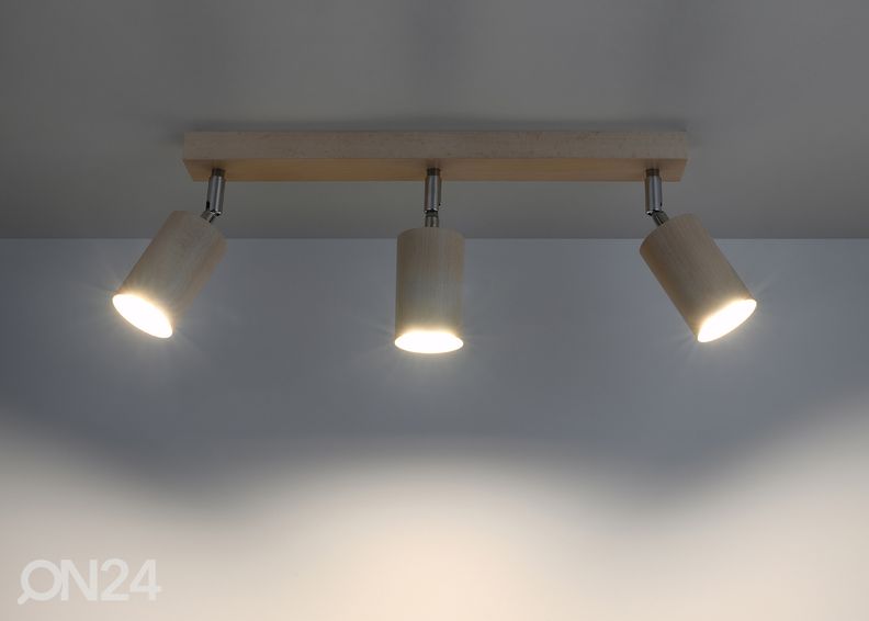 Kattovalaisin Berg 3, luonnonsävy kuvasuurennos