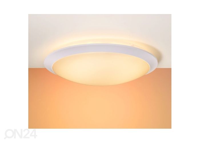 Kattovalaisin Bonny kuvasuurennos