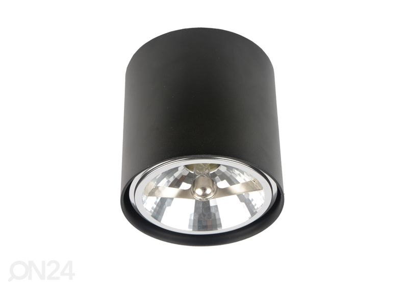 Kattovalaisin Box kuvasuurennos