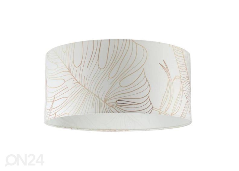 Kattovalaisin Bucamaranga kuvasuurennos