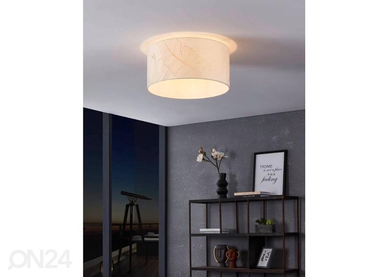 Kattovalaisin Bucamaranga kuvasuurennos