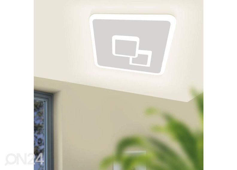 Kattovalaisin Cadegal kuvasuurennos