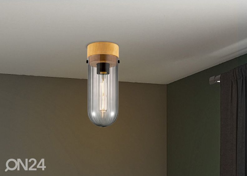 Kattovalaisin Capri kuvasuurennos