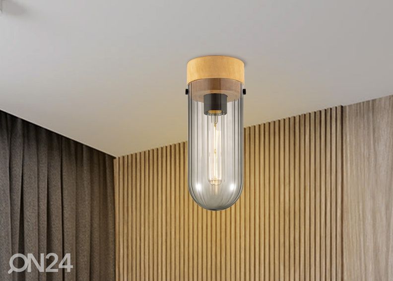 Kattovalaisin Capri kuvasuurennos