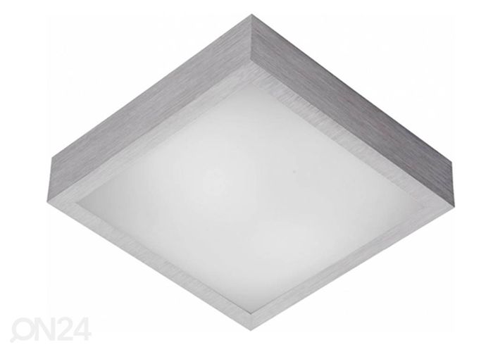 Kattovalaisin Casper kuvasuurennos