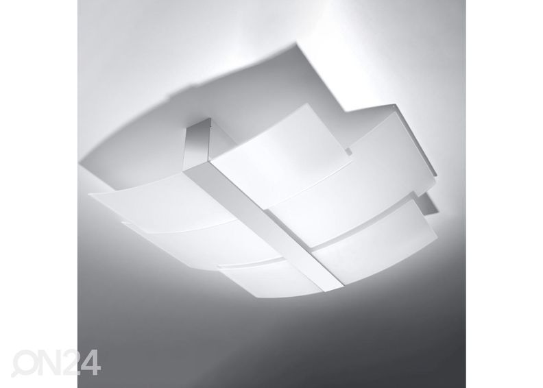 Kattovalaisin Celia, kromi kuvasuurennos