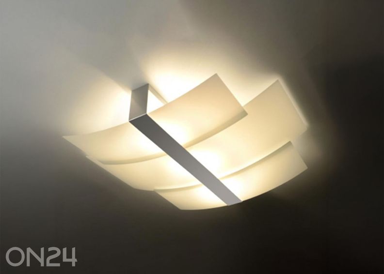 Kattovalaisin Celia, kromi kuvasuurennos