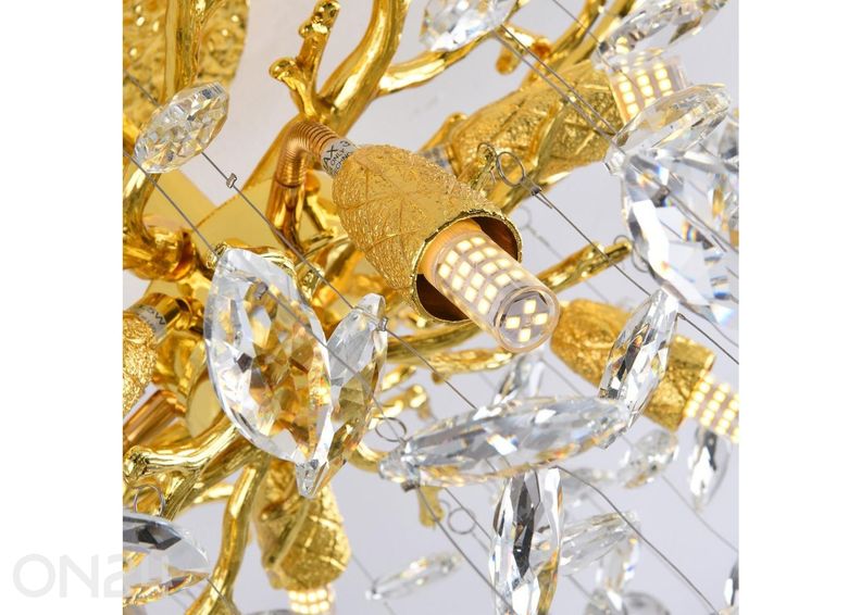 Kattovalaisin Cindy Gold 2 kuvasuurennos