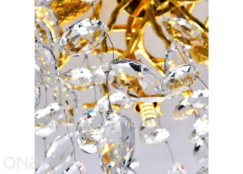 Kattovalaisin Cindy Gold 2 kuvasuurennos