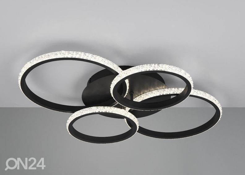 Kattovalaisin Cires kuvasuurennos