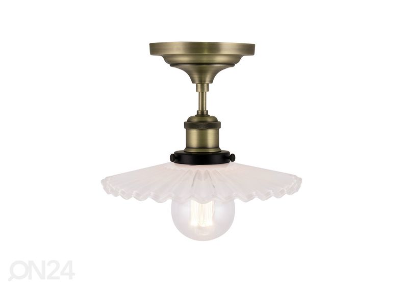 Kattovalaisin Cobbler kuvasuurennos