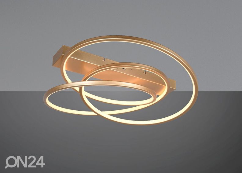 Kattovalaisin Darvin kuvasuurennos