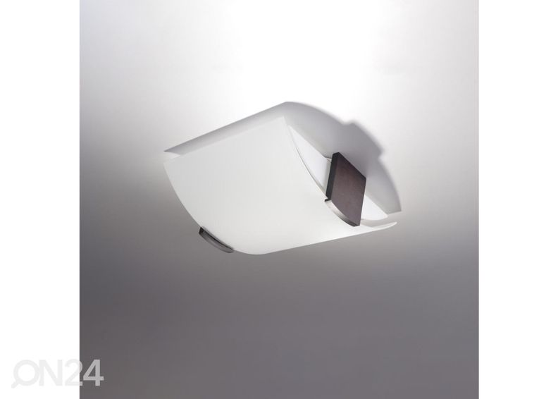 Kattovalaisin Emilio kuvasuurennos