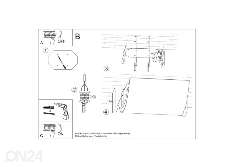 Kattovalaisin Emilio kuvasuurennos