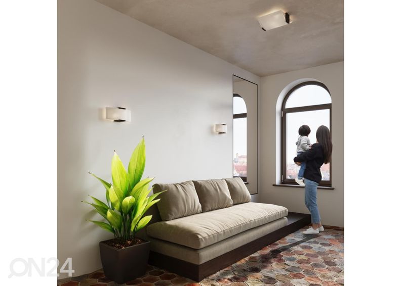 Kattovalaisin Emilio kuvasuurennos