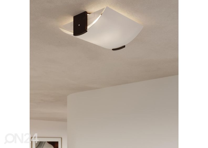 Kattovalaisin Emilio kuvasuurennos