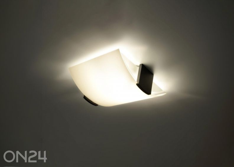 Kattovalaisin Emilio kuvasuurennos