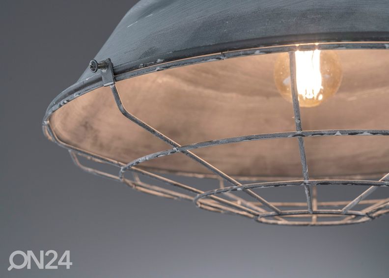 Kattovalaisin Evan kuvasuurennos