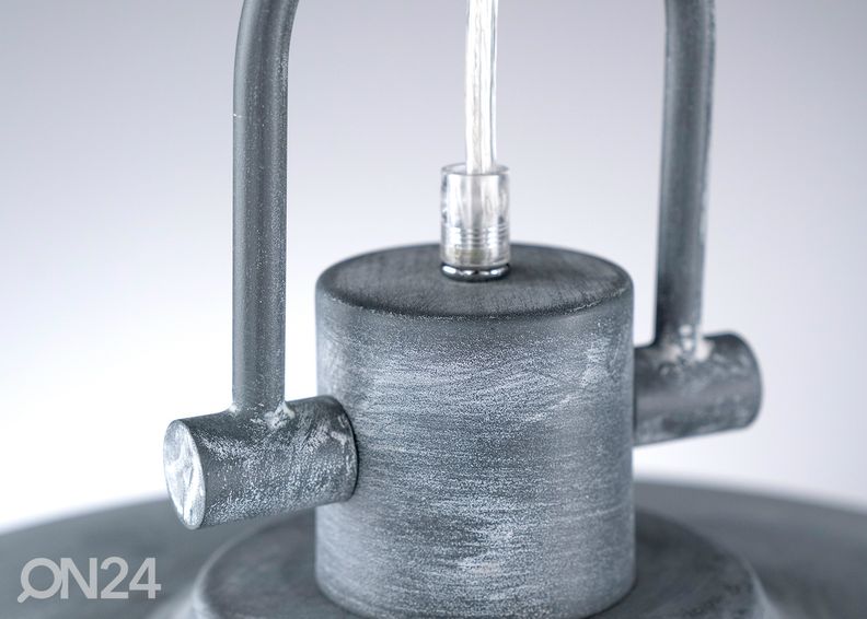 Kattovalaisin Evan kuvasuurennos