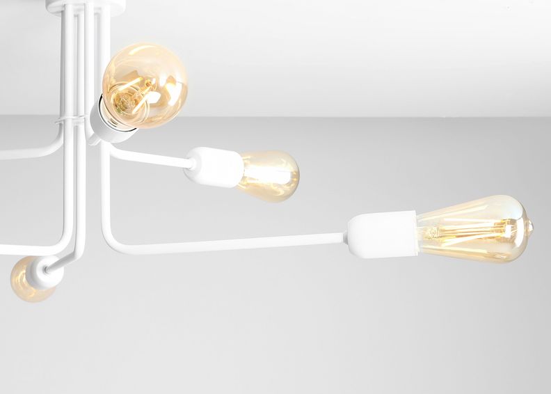 Kattovalaisin Ezop kuvasuurennos