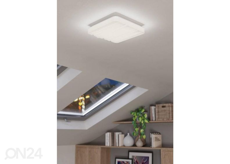 Kattovalaisin Ferentino kuvasuurennos