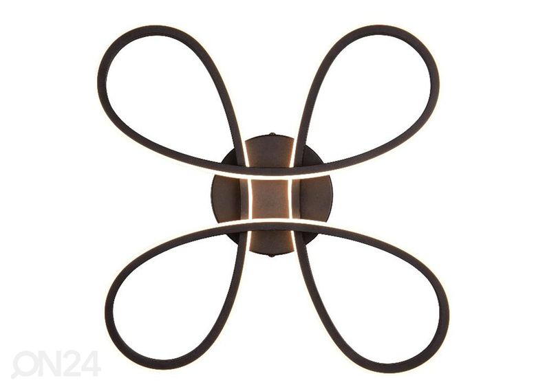 Kattovalaisin Fly kuvasuurennos