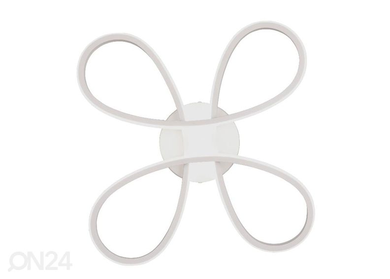 Kattovalaisin Fly kuvasuurennos