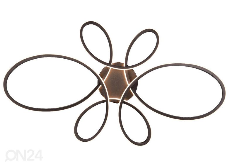 Kattovalaisin Fly kuvasuurennos