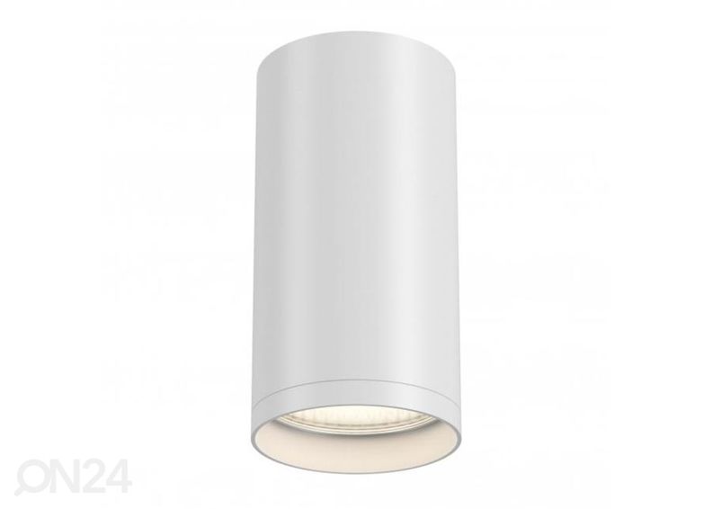 Kattovalaisin Focus kuvasuurennos