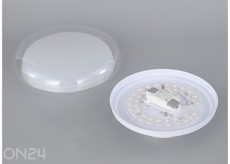 Kattovalaisin Glossy 30 kuvasuurennos