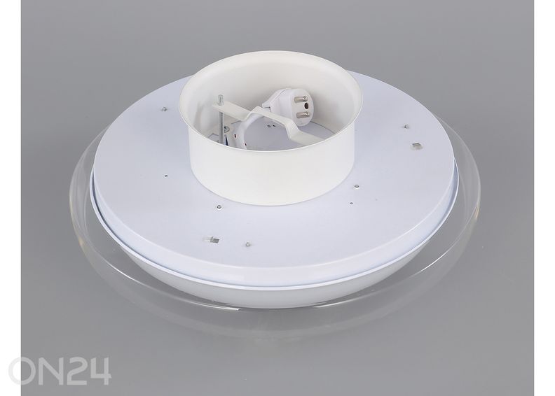 Kattovalaisin Glossy 30 kuvasuurennos