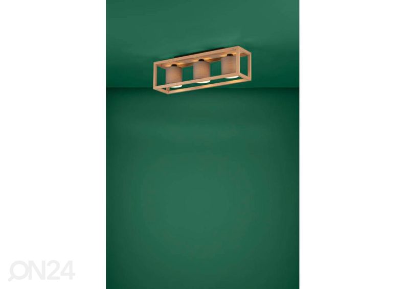 Kattovalaisin Granados kuvasuurennos