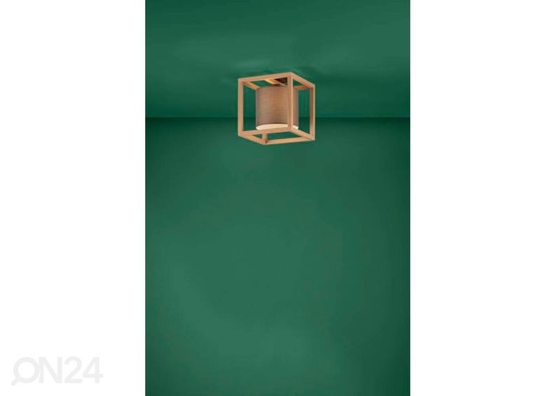 Kattovalaisin Granados kuvasuurennos