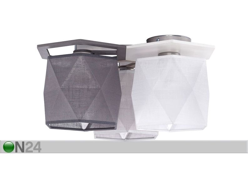 Kattovalaisin Honey kuvasuurennos