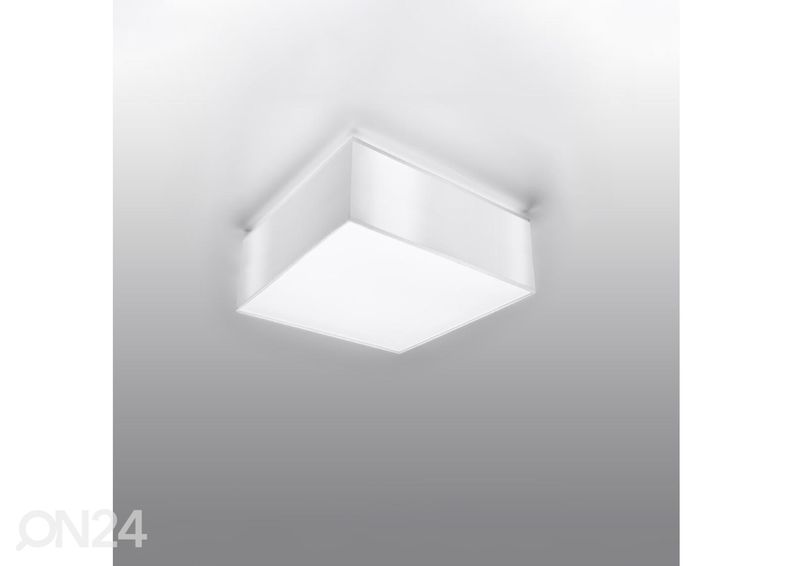 Kattovalaisin Horus 25, valkoinen kuvasuurennos