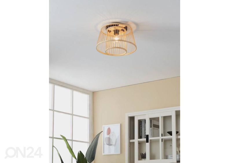 Kattovalaisin Hykeham kuvasuurennos