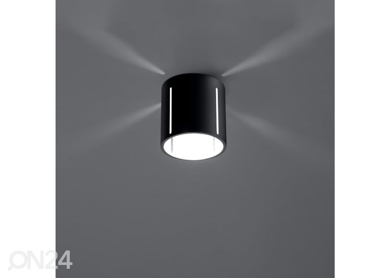 Kattovalaisin Inez, musta kuvasuurennos