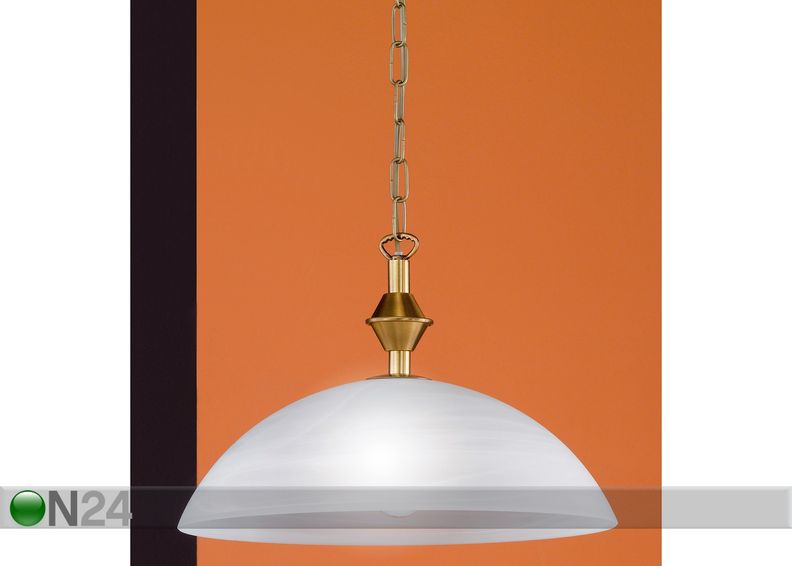 Kattovalaisin Inka kuvasuurennos