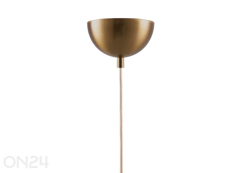 Kattovalaisin Iris 25 kuvasuurennos